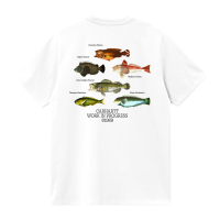 Carhartt WIP Fish T-Shirt (white)