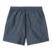 Carhartt WIP Slater Swim Trunks (cason stripe vertical/blue)