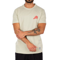Iriedaily Spa Ghetti T-Shirt (light sage)