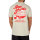 Iriedaily Spa Ghetti T-Shirt (light sage)