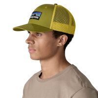 Patagonia P-6 Logo Trucker Hat (graze green)