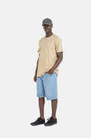 Reell Solid Short (light blue)