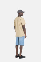 Reell Solid Short (light blue)