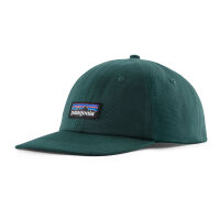 Patagonia P-6 Label Trad Cap (cascade green)