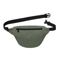 Carhartt WIP Jake Hip Bag (opuntia)