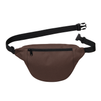 Carhartt WIP Jake Hip Bag (palisander)
