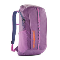 Patagonia Black Hole Pack 25L (brisk purple)