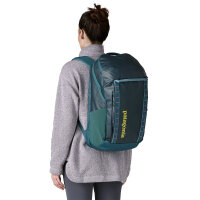 Patagonia Black Hole Pack 32L (tidal teal w/luminous pink)