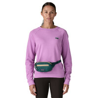 Patagonia Terravia Mini Hip Pack 1L (cascade green)