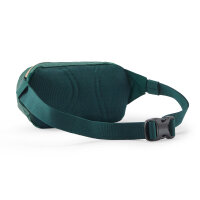 Patagonia Terravia Mini Hip Pack 1L (cascade green)