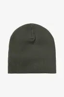 Carhartt WIP Scripter Beanie (opuntia)