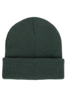 Iriedaily Smurpher Heavy Beanie (bottle green)