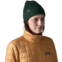 Patagonia Fishermans Rolled Beanie (cascade green)