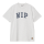 Carhartt WIP WIP III T-Shirt (ash heather heavy stone wash)