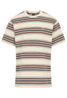 Iriedaily Rayas T-Shirt (beige)