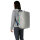 Patagonia Black Hole Duffel 40L (birch white)