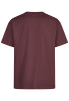 Iriedaily Flaglighter T-Shirt (aubergine)