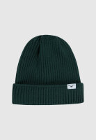 Cleptomanicx Storm Beanie (magical forest)