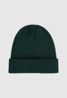Cleptomanicx Storm Beanie (magical forest)
