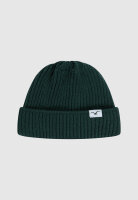 Cleptomanicx Storm Short Beanie (magical forest)