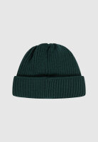 Cleptomanicx Storm Short Beanie (magical forest)