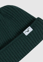 Cleptomanicx Storm Short Beanie (magical forest)