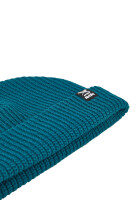 Iriedaily Transition Beanie (teal)