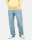 Reell Solid Jeans (light blue stone)
