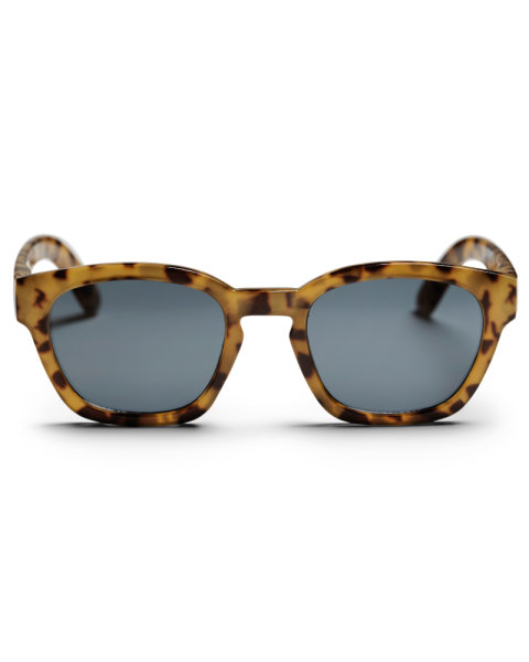 Chpo Brand Vik Sonnenbrille (brown/black)