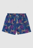Cleptomanicx Boxershorts Into the Wild (blue)